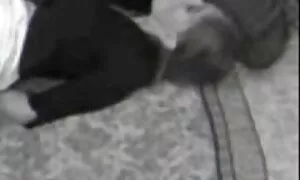 آنیلینگوس زن و گروه فیلمسکسی مرد