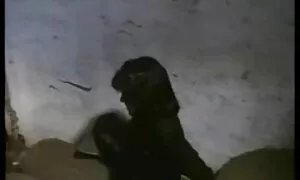 ورا رائین عاشق مردان وحشی کانال کلیپ سکس تلگرام است
