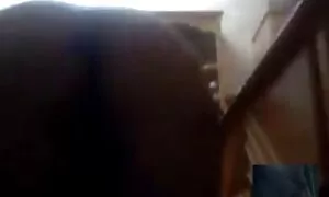 Skyla Ryan در لینک کانال سکسی اینستاگرام حالی که رابطه جنسی داغ داشت ، تیرباران شد